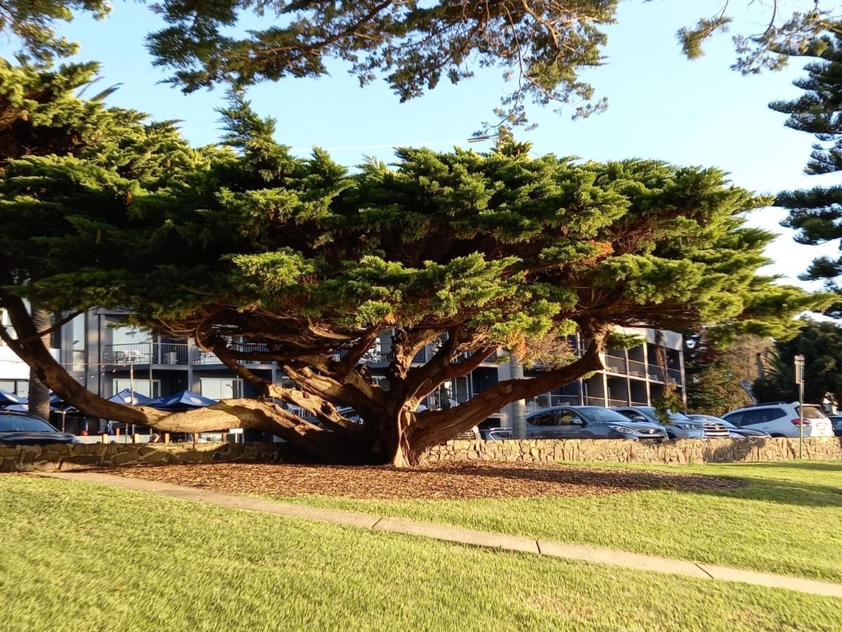 Apartments In Phillip Island Towers - Block C カウズ エクステリア 写真