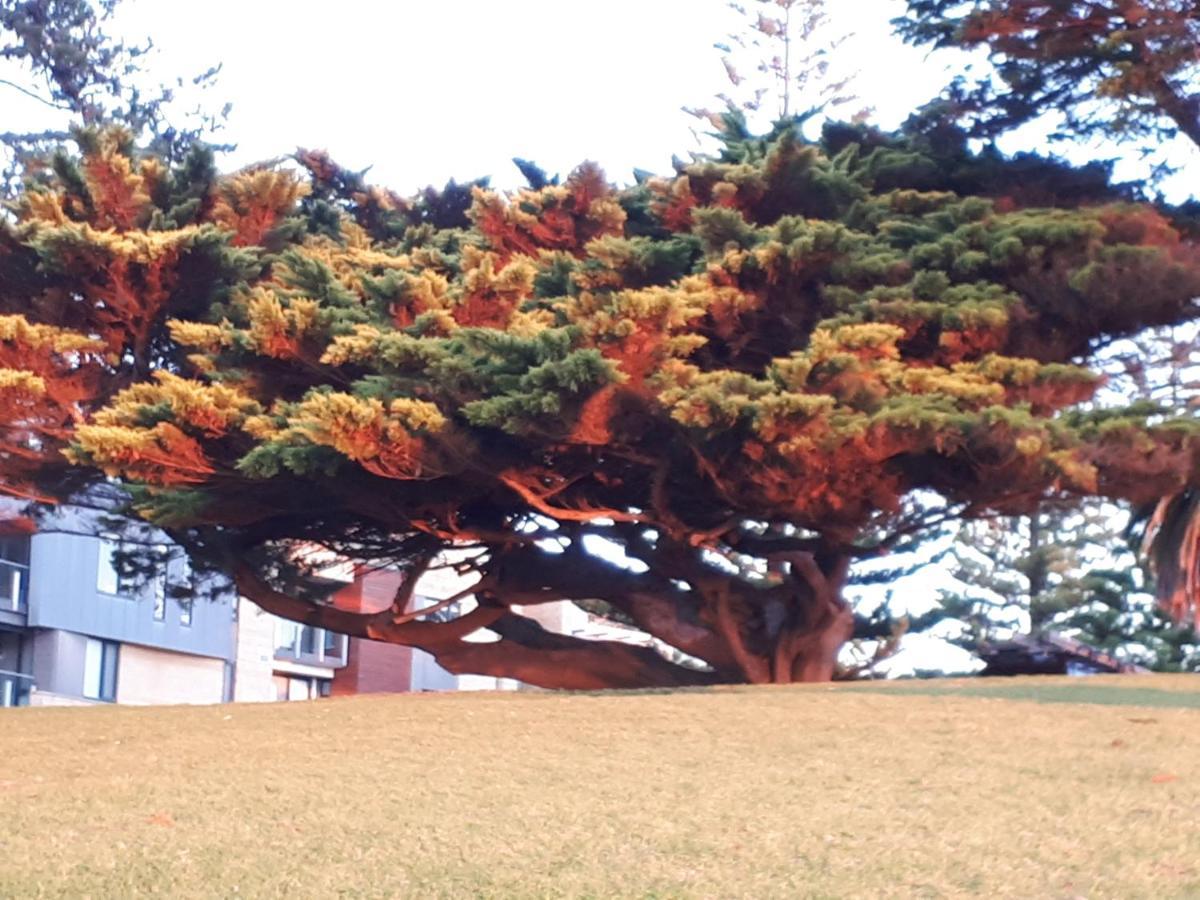 Apartments In Phillip Island Towers - Block C カウズ エクステリア 写真